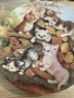 на фотографии:

Колекционерски порцеланови чинии Kahla – „Katzenkinder auf Entdeckungsreise“., снимка 2