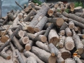 Нацепени дърва – 120 лв/кубик – зимна промо, снимка 3