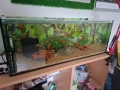 Аквариуми 4 броя, снимка 2