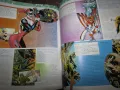 DC comics encyclopedia , снимка 6