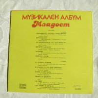 ВТА 10385 - Музикален албум Младост, снимка 4 - Грамофонни плочи - 31558463