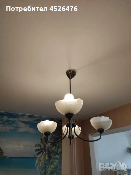 полилей, снимка 1