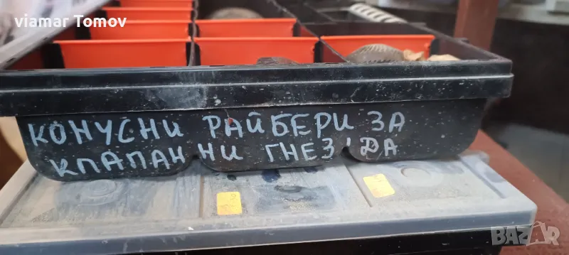 Конусни райбери, снимка 1