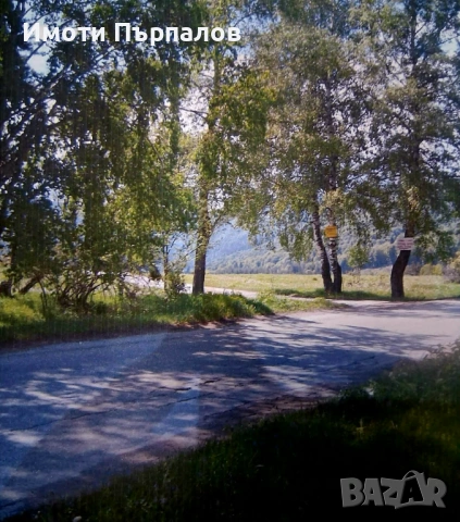 Парцел с панорамна гледка към язовир Батак – идеален за инвестиция, снимка 3 - Парцели - 54199754