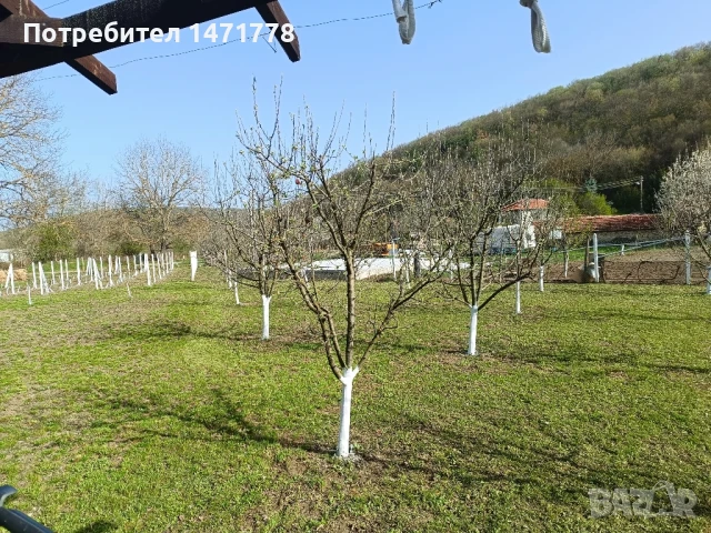  Къща в с.Могилово, снимка 15 - Къщи - 50708859