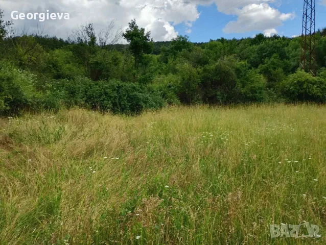 Парцел в с. Елхово общ. Николаево, снимка 3 - Парцели - 55780029