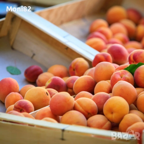 Овощна градина кайсии с.Зафирово