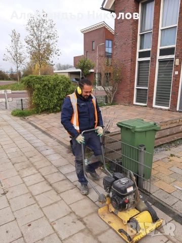 озеленяване рязане на високи дървета чистене на градини оформяне на жива плет , снимка 14 - Строителни работници - 53126101