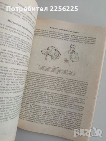 Физиология на човека, снимка 4 - Специализирана литература - 55815410