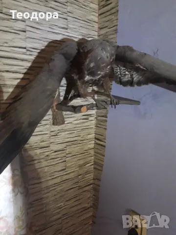 Продава се, снимка 2 - Други - 49883429