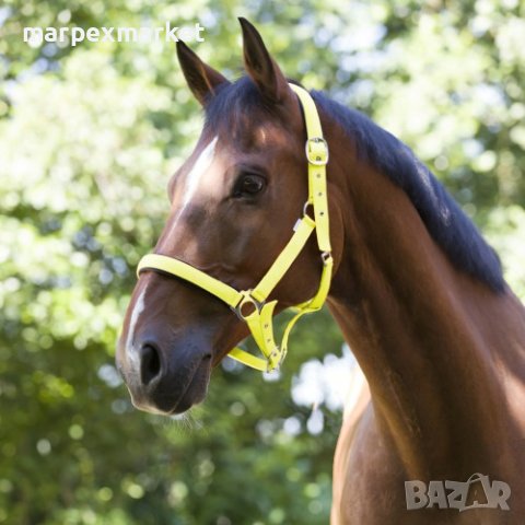 Цветни оглавници за коне - Colors, снимка 3 - Коне - 44287192