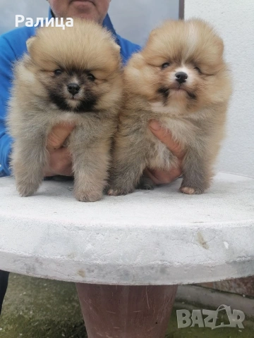 Момче и момиче 