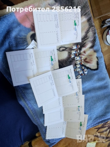 Малки Белгийки-Малиноа, снимка 2 - Белгийска овчарка - 52231697