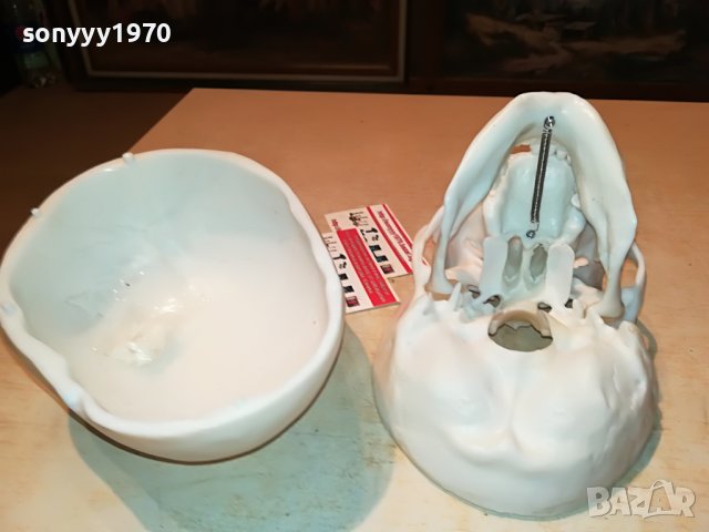 ЧЕРЕП-ВНОС ГЕРМАНИЯ 1806222011, снимка 17 - Колекции - 37127150