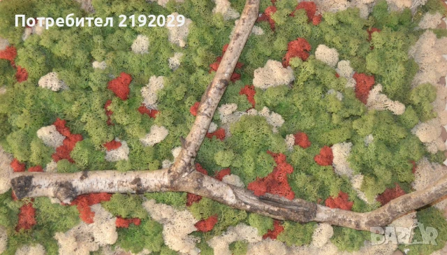 ПАНО СЪС СКАНДИНАВСКИ МЪХ, снимка 4 - Пана - 51337984