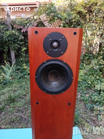 Тонколони Hi-End Usher V-602, снимка 10 - Тонколони - 52171299