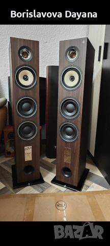 Тонколони TRIANGLE GAIA Ez , снимка 4 - Тонколони - 53918538