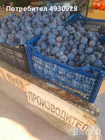 Сливи за ракия 0,35€