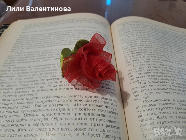 Брошки, снимка 4 - Други - 54085462