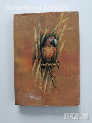 Животът и приключенията на Робинзон Крузо, снимка 7 - Художествена литература - 54208645