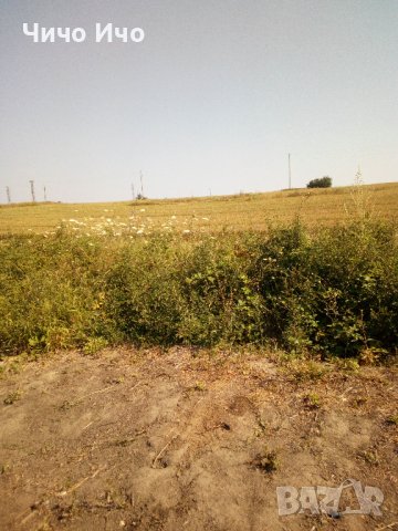 с. Близнаци - земя 3.01дка, снимка 8 - Земеделска земя - 38726213