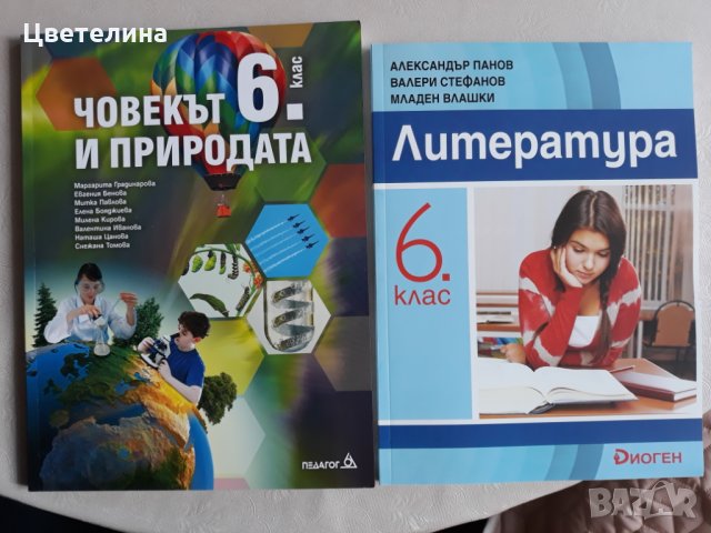Учебници 6 клас - математика , литература, снимка 1 - Учебници, учебни тетрадки - 31681626