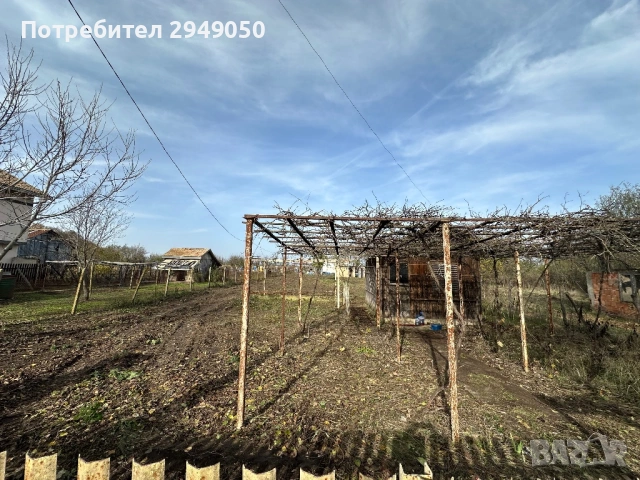 Почистване на дворове и всякакъв вид парцели, снимка 12 - Други услуги - 54068795