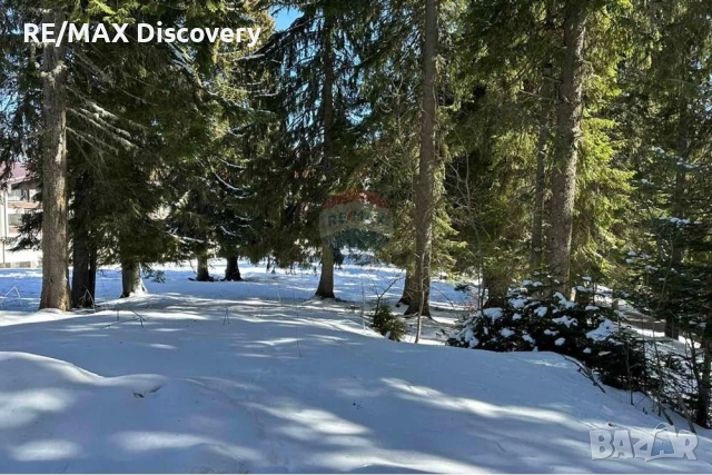 Урегулиран поземлен имот - За продажба - к.к. Пампорово, Област Смолян, снимка 7 - Парцели - 52278178