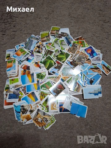 Стикери / лепенки за албум с животни на Билла, снимка 2 - Други - 51347384