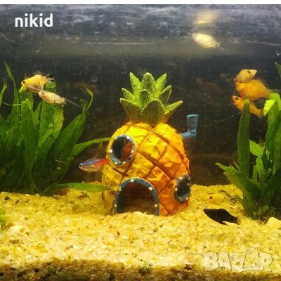Ананас Къщичката къщичка къща на спондж боб Спонджбоб Квадратни гащи spongebob игра украса аквариум , снимка 5 - Други - 33719081