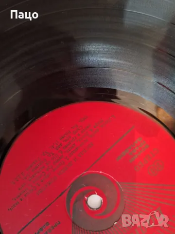 Весела и Любен Божкови, снимка 4 - Грамофонни плочи - 48961359