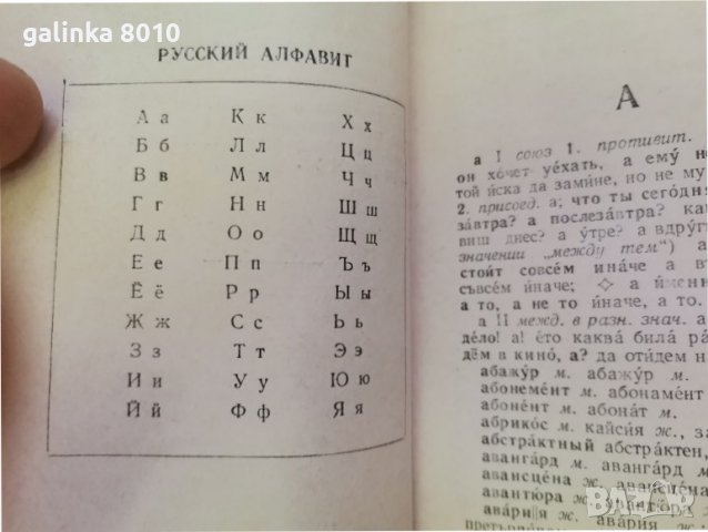 Стар Руски Български словар, снимка 7 - Антикварни и старинни предмети - 37475692