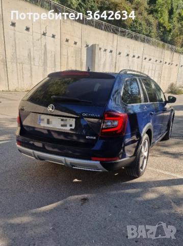Skoda octavia scout , снимка 7 - Автомобили и джипове - 52050750