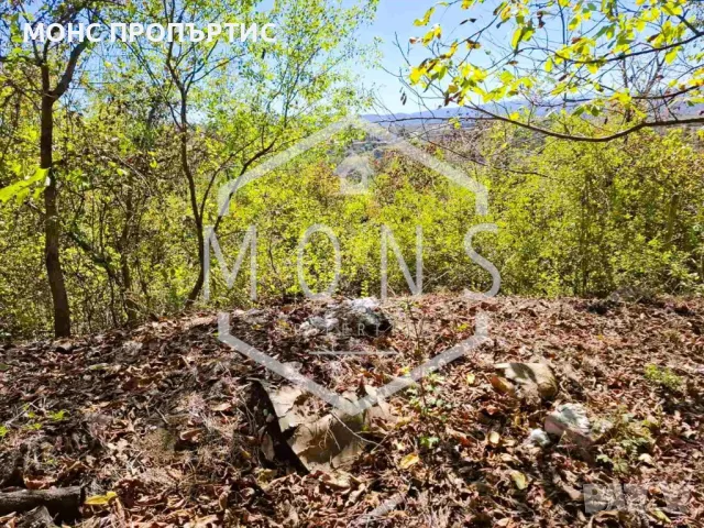 Поземлен имот за продажба в с. Присово, обл. В. Търново, снимка 11 - Парцели - 48976591