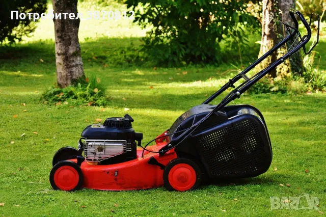 Косене на трева почистване на дворове и запустели парцели, снимка 3 - Други почистващи услуги - 50201048