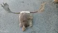 Стари, Стар, Старо, Арт, ретро маска, викинг шлем , снимка 4