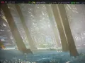 компютър само за пловдив , снимка 4