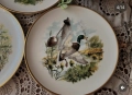Английски чинии от серията”Птици на провинцията“. фин костен порцелан.  „Червенокраката яребица“ , снимка 3