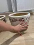 Саксии за цветя керамични, снимка 2