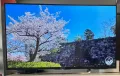 Смарт телевизор 43 инча Sony Bravia 4K UHD LED Android TV, снимка 9