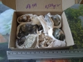 Sale, Кутия с минерали от България,естествени кристали и камъни, за колекционери геолози любители, , снимка 1
