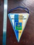 Продавам флагчета на футболни отбори , снимка 8
