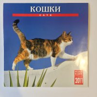 Стенен календар 2011 Котки, снимка 1 - Други - 38776717