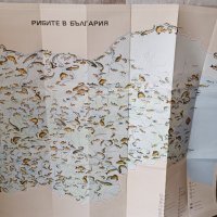 Две стари карти на България - лов и риболов - БЛРС, снимка 5 - Антикварни и старинни предмети - 44254820