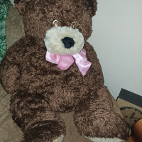 плюшена мечка , снимка 1 - Плюшени играчки - 44516418