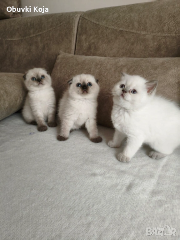 Не са красиви ами просто са уникалени свикнало с малко детенце страхотен подарък за вашите любими , снимка 1