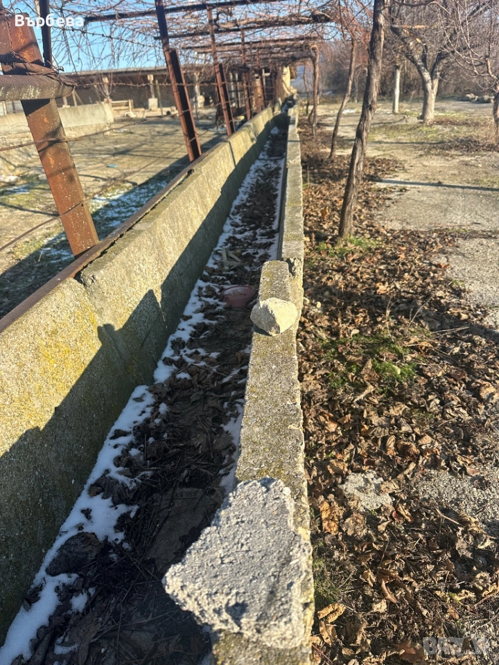 Бетонови хранилки за едри животни, снимка 1