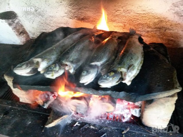 В Родопите капацитет 12+ човека, снимка 11 - Селски туризъм и култура - 29765590