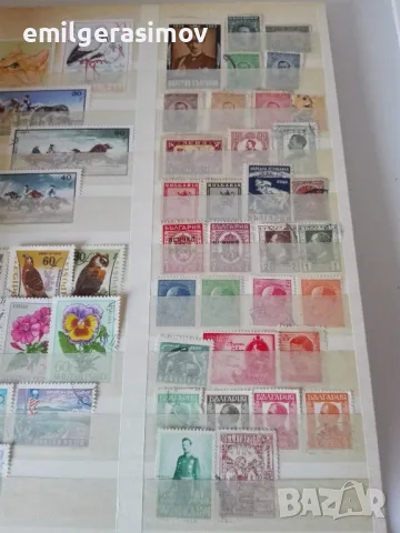 Класьор с пощенски марки и лот картички., снимка 10 - Филателия - 50321964