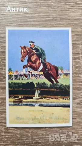 Olympia 1936, Serie 4, Bild 5  Hauptmann von Stubbendorf
